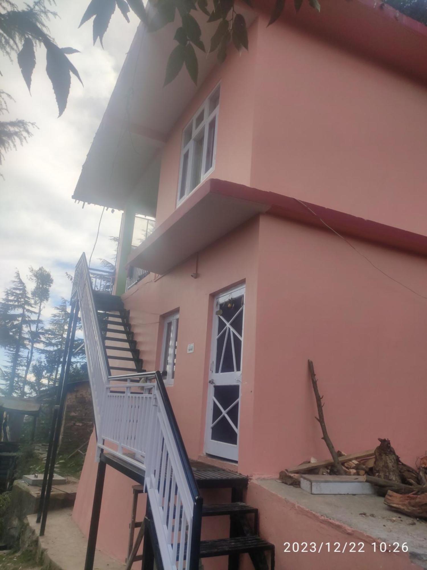 Tree Valley Homestay Chail Dış mekan fotoğraf