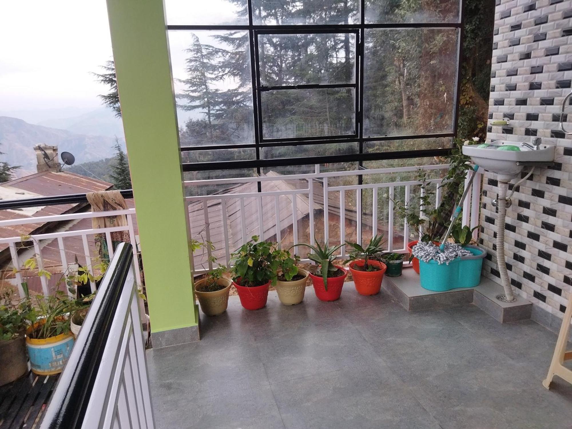 Tree Valley Homestay Chail Dış mekan fotoğraf