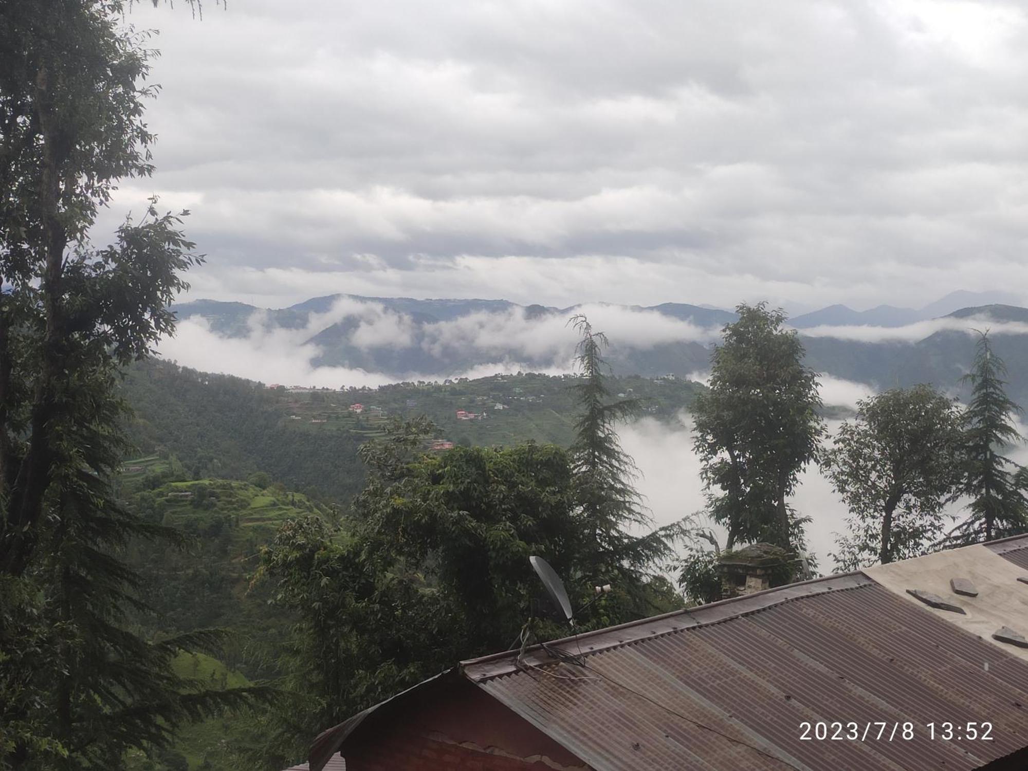 Tree Valley Homestay Chail Dış mekan fotoğraf