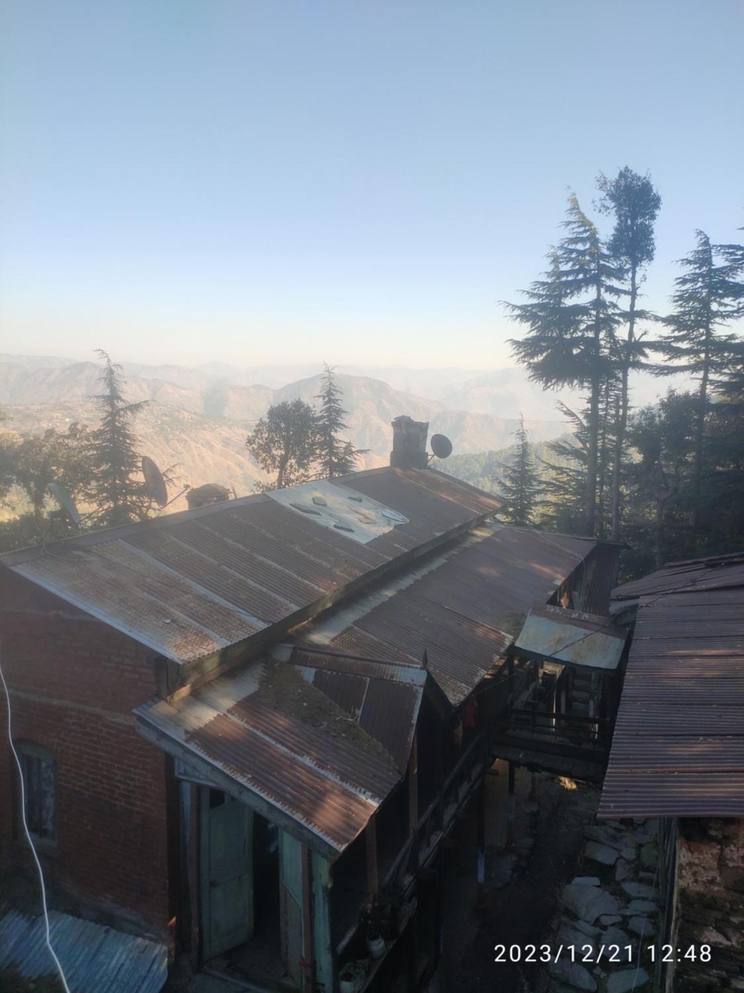 Tree Valley Homestay Chail Dış mekan fotoğraf