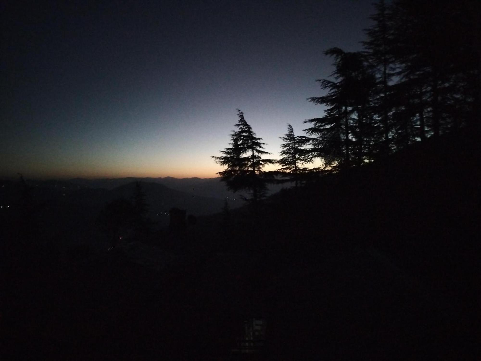 Tree Valley Homestay Chail Dış mekan fotoğraf