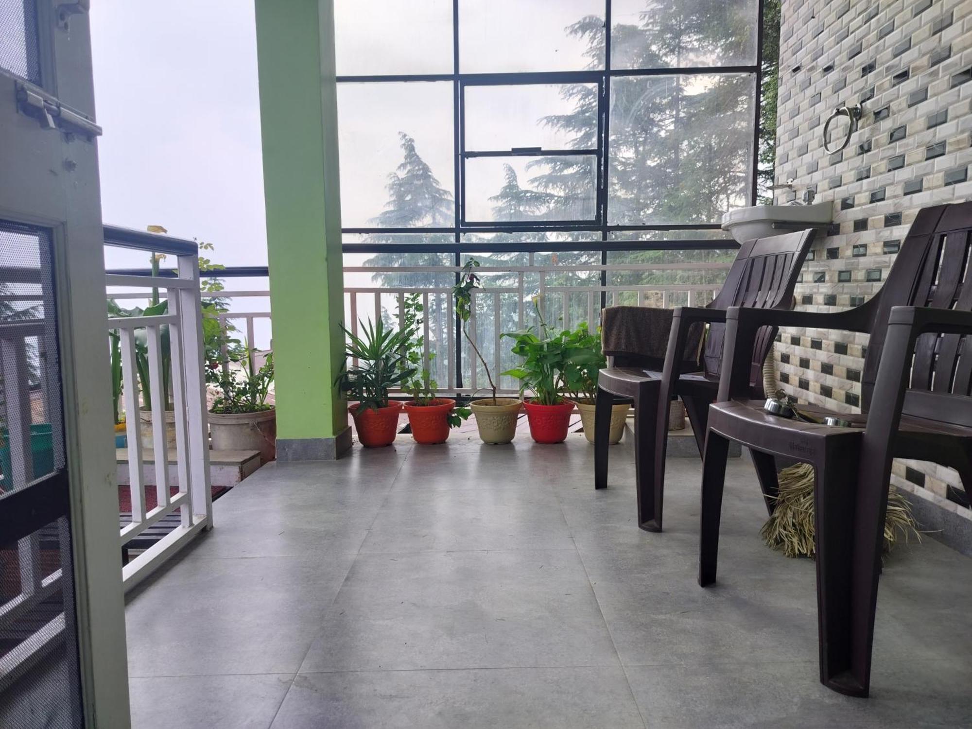 Tree Valley Homestay Chail Dış mekan fotoğraf