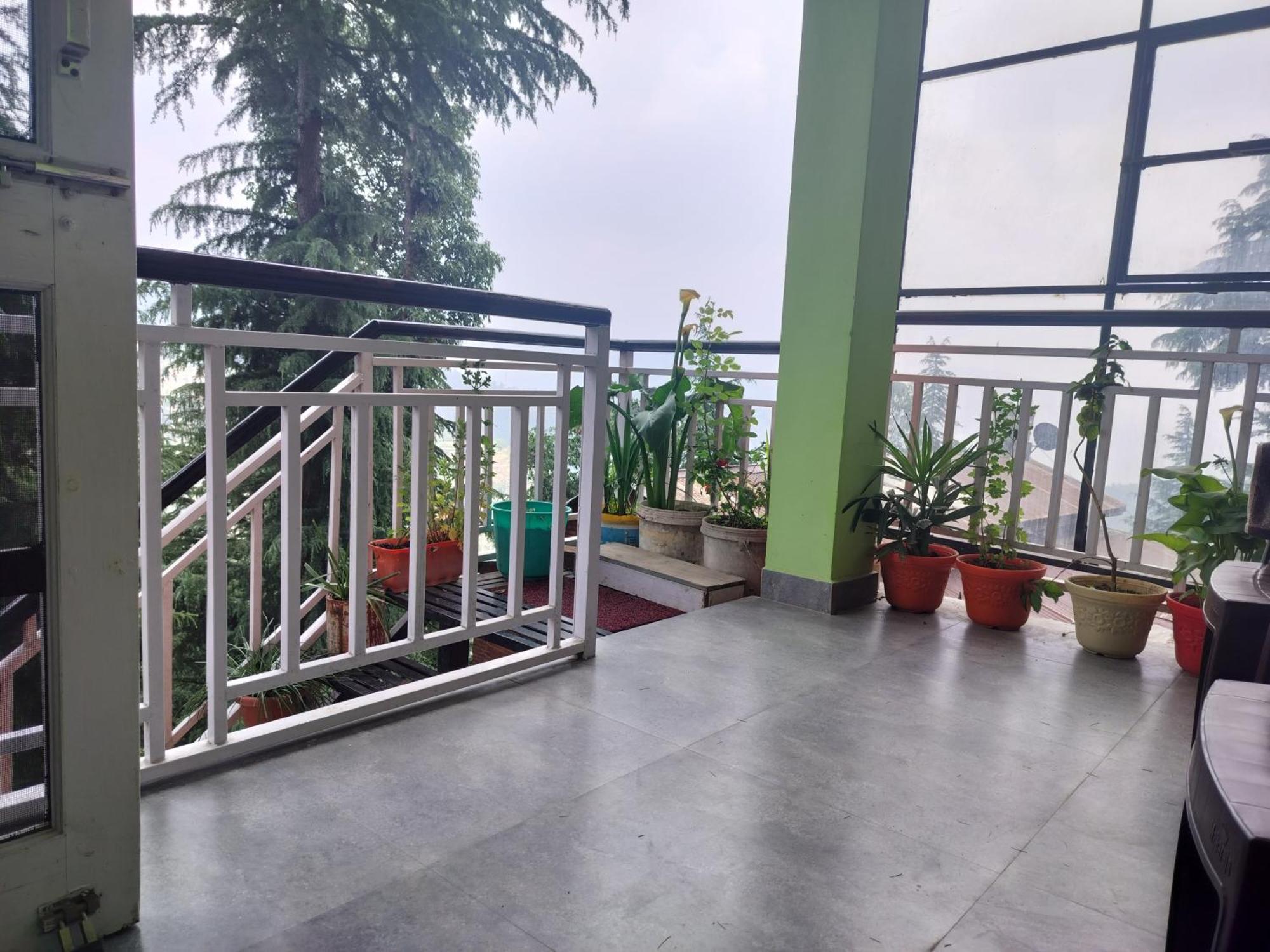 Tree Valley Homestay Chail Dış mekan fotoğraf