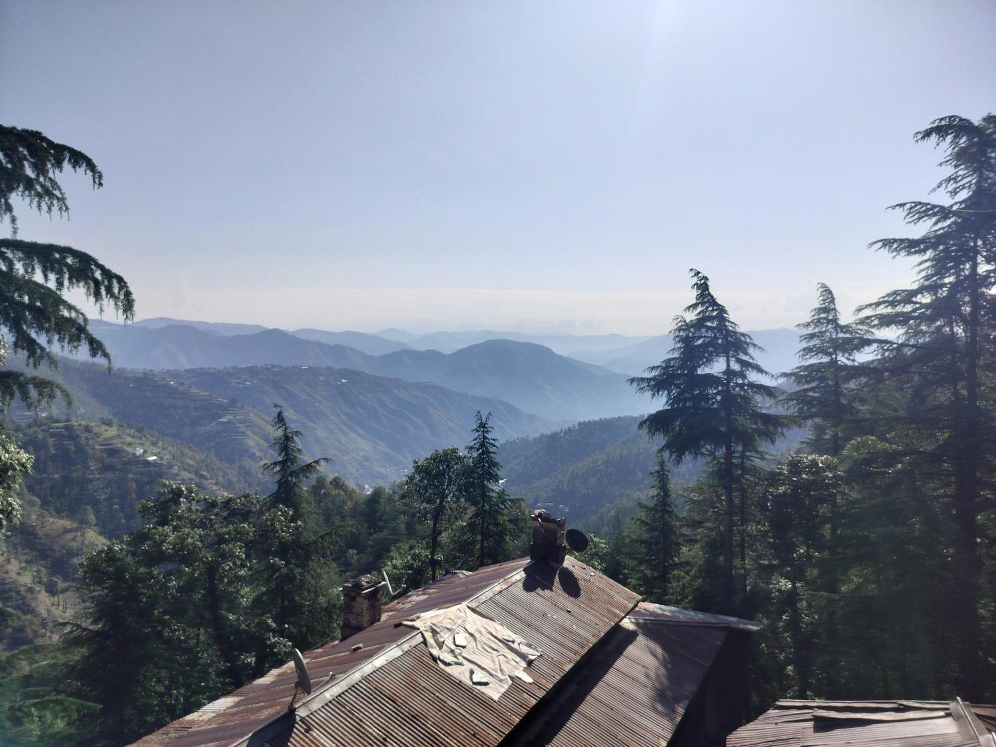 Tree Valley Homestay Chail Dış mekan fotoğraf
