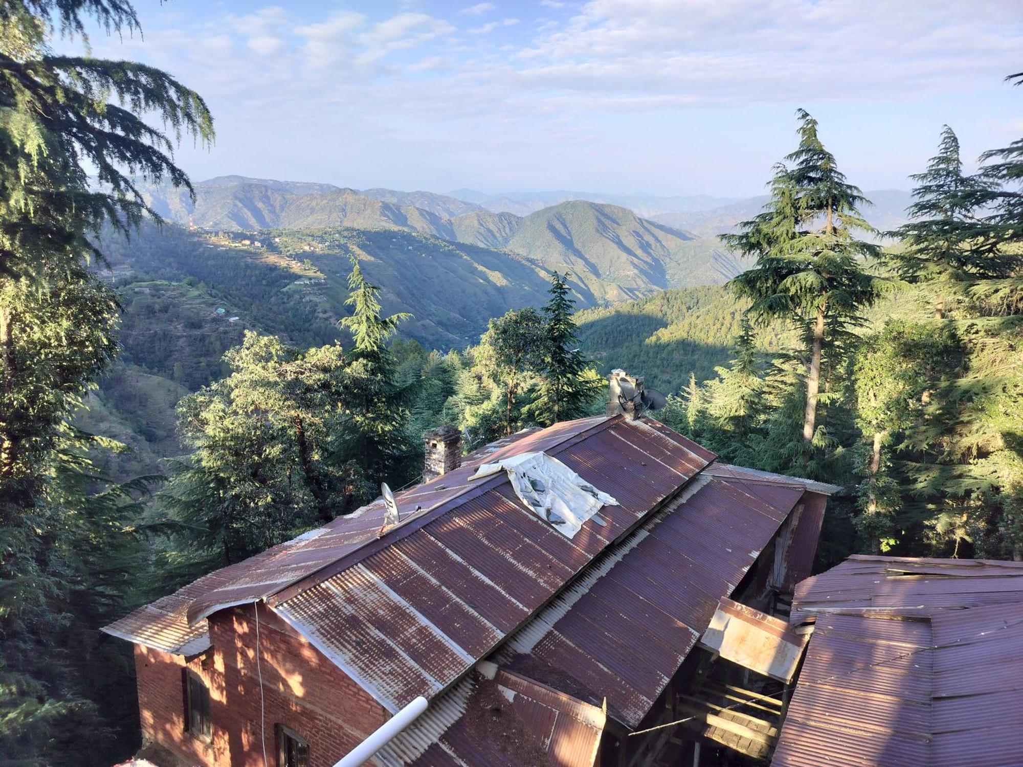Tree Valley Homestay Chail Dış mekan fotoğraf
