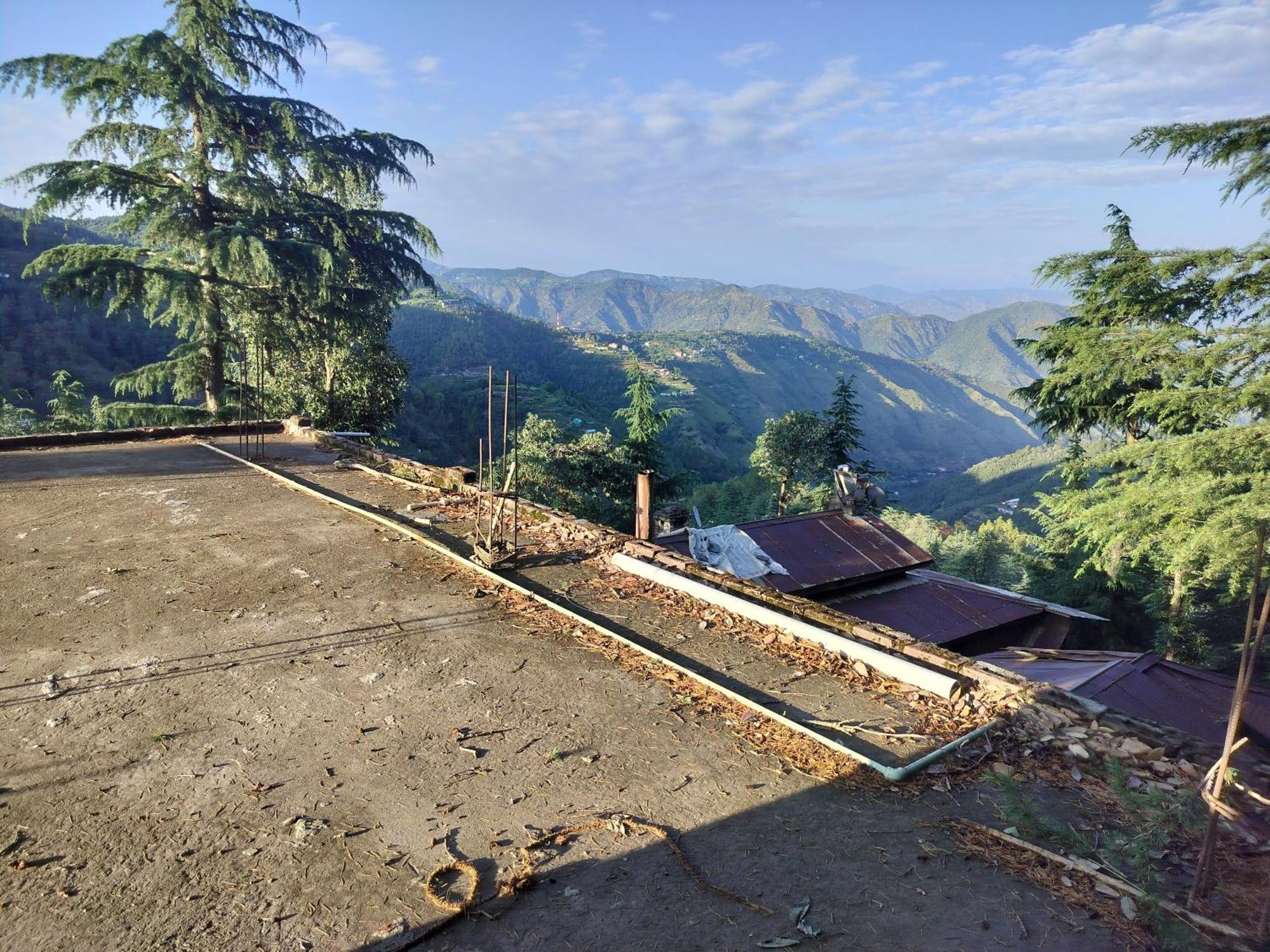 Tree Valley Homestay Chail Dış mekan fotoğraf