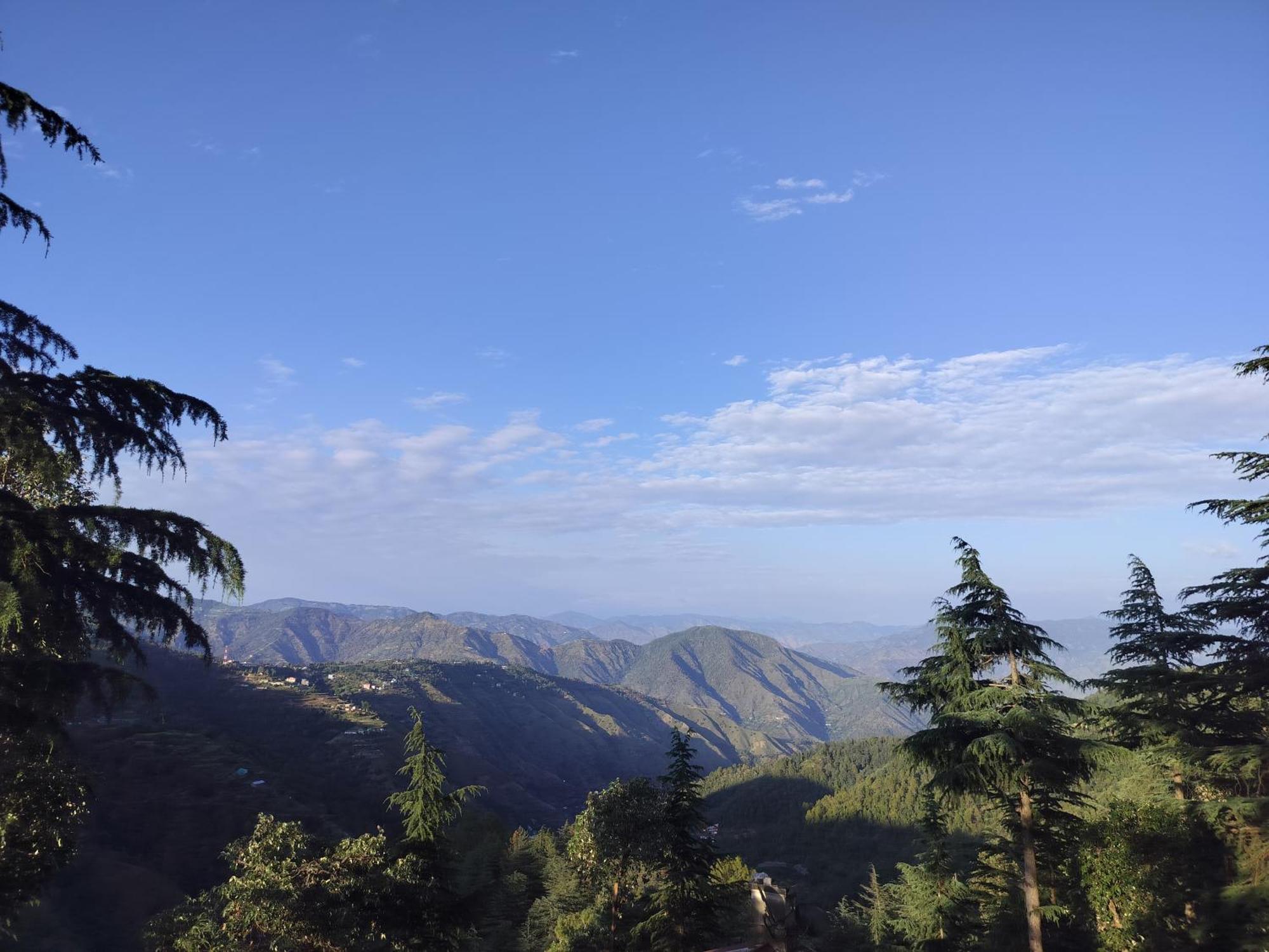 Tree Valley Homestay Chail Dış mekan fotoğraf