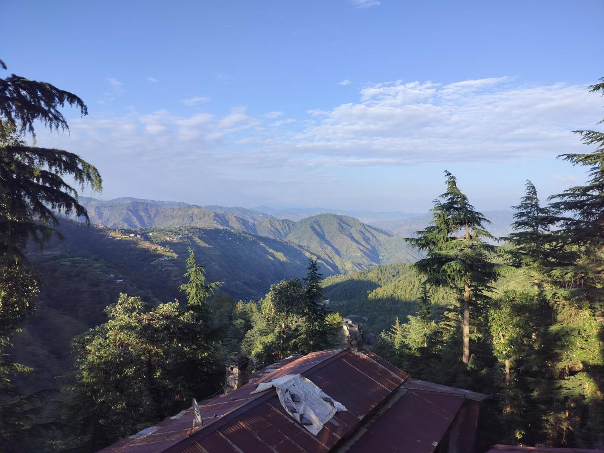 Tree Valley Homestay Chail Dış mekan fotoğraf