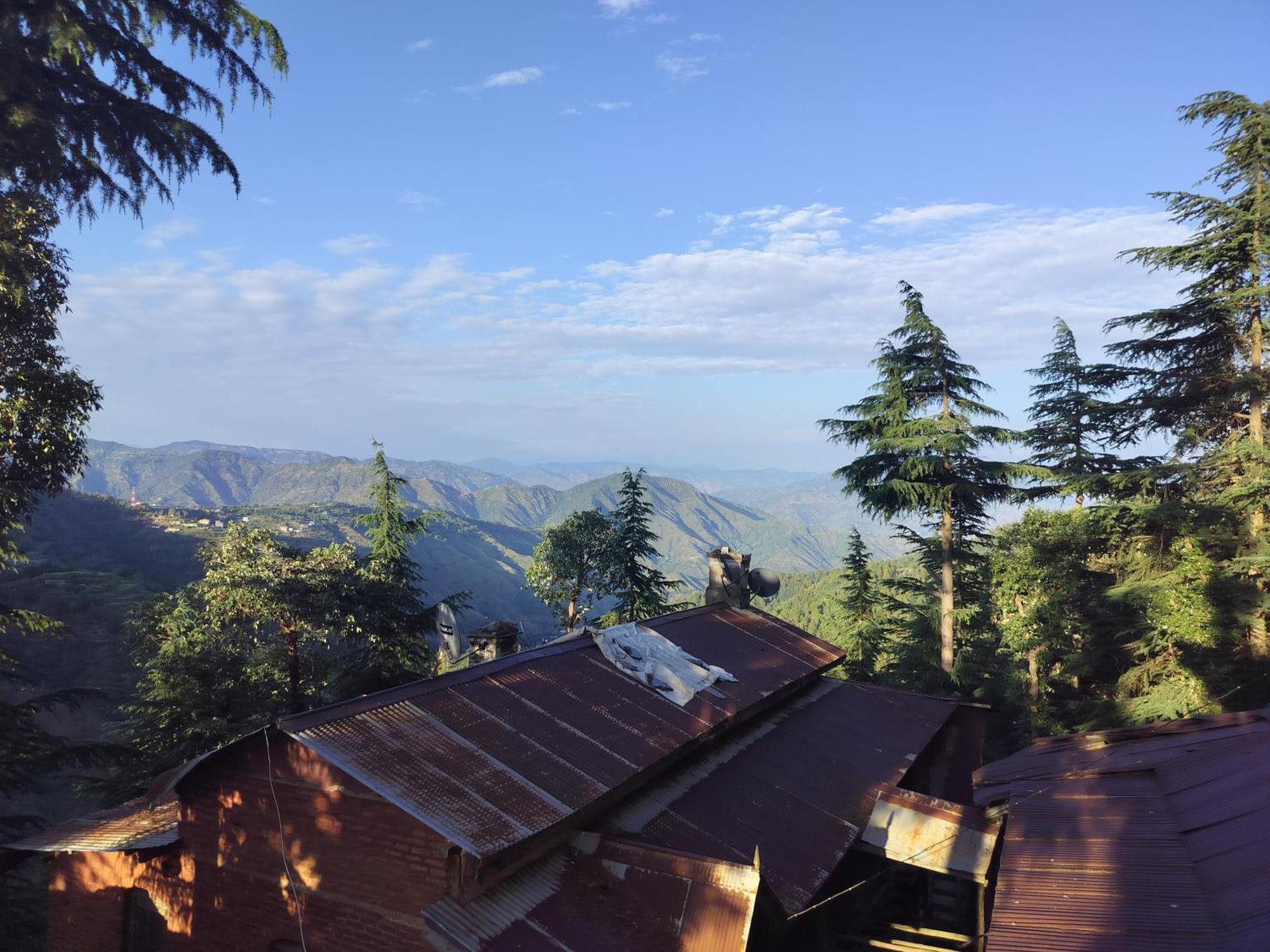 Tree Valley Homestay Chail Dış mekan fotoğraf